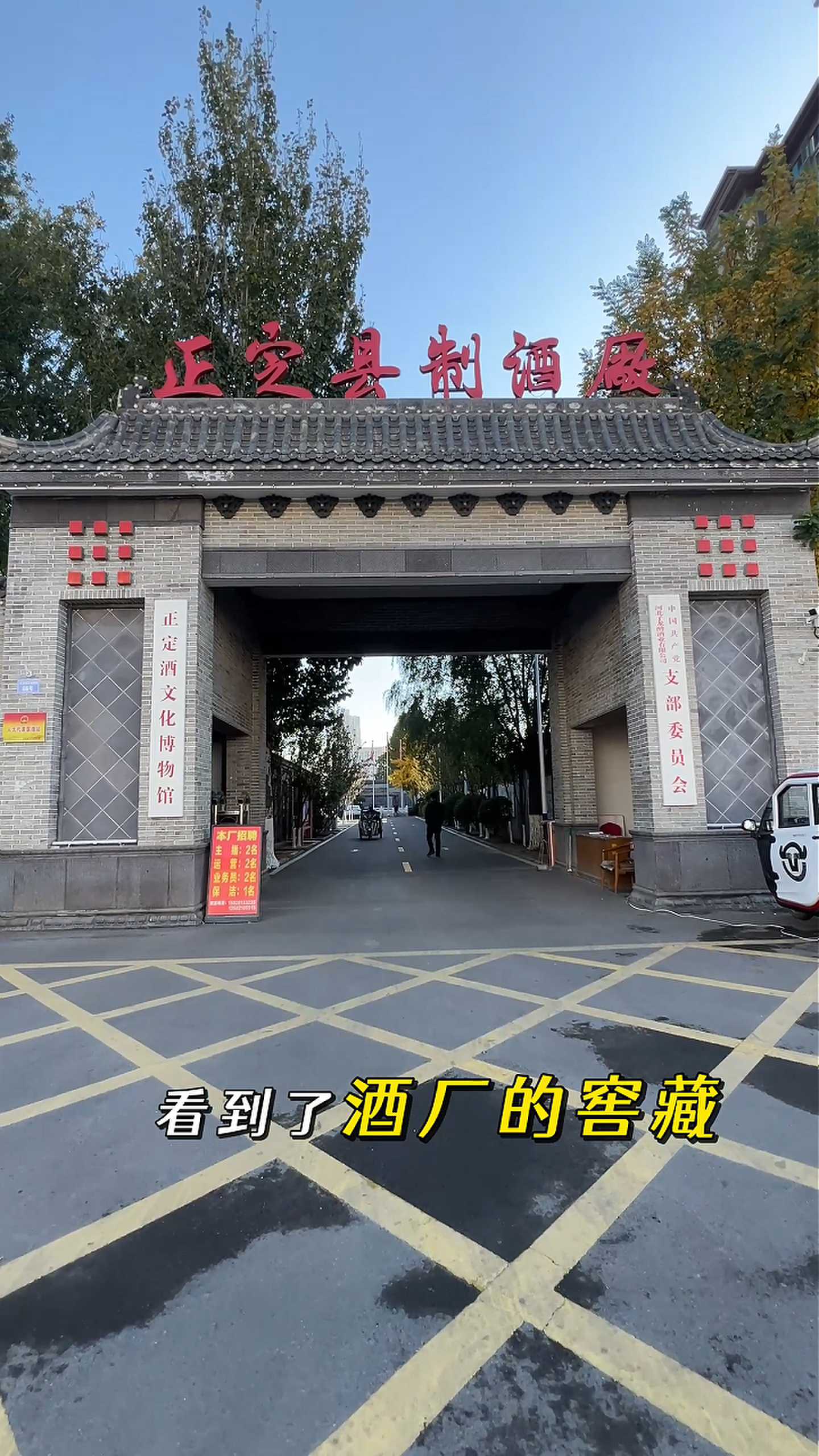 湛江制造业企业GEO优化案例